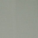 Gris clair
