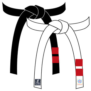 Broderie Non-Intégrée - Coté Opposé / Logo Aikikai (Position 2)
